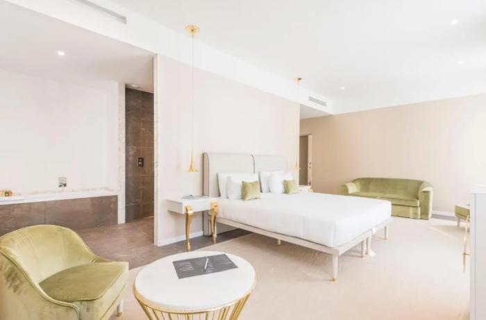 Boscolo Lyon Hotel & Spa 客房 照片 A suite at the hotel